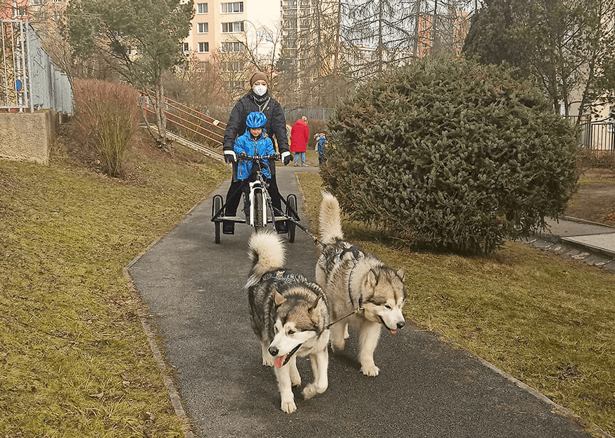Dětský mushing