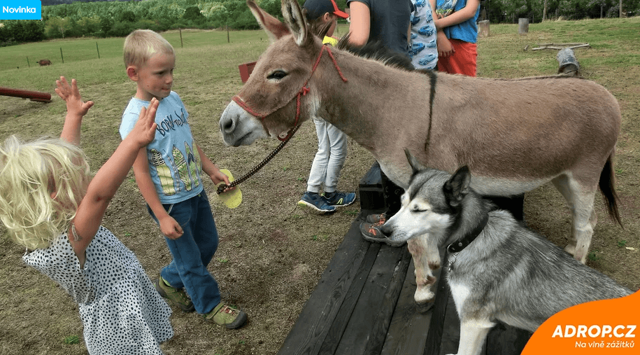 Rodinná exkurze na farmě