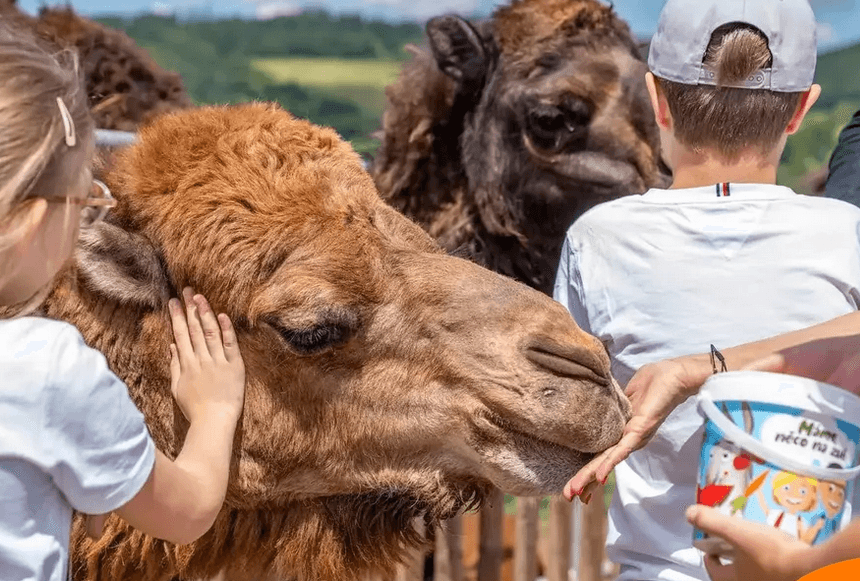 Celodenní vstup do Farmaparku Soběhrdy