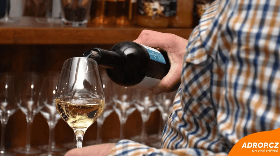 Řízená degustace ve vinném sklípku