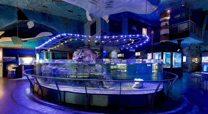 ZOO Mořský svět Praha - největší mořské akvárium v ČR