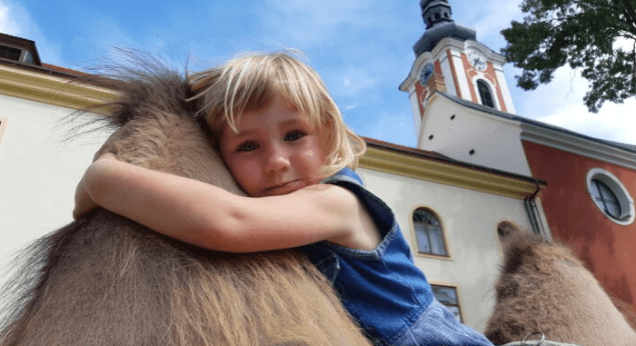 Návštěva velbloudí farmy Záhostovice - veselé povídání o velbloudech a lamách
