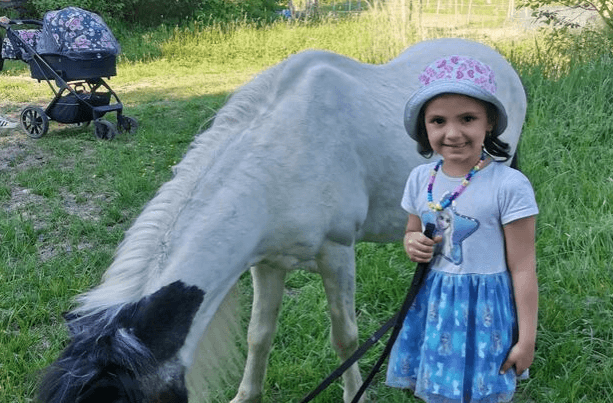 Projížďky na ponících v rodinné farmě Černá vovce Třeboc
