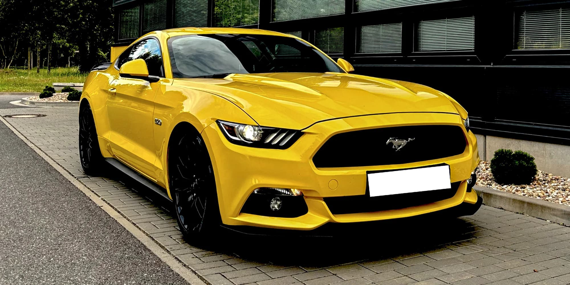Ford Mustang 5.0 GT: 30 min. řízení nebo zapůjčení až na 24 hod.