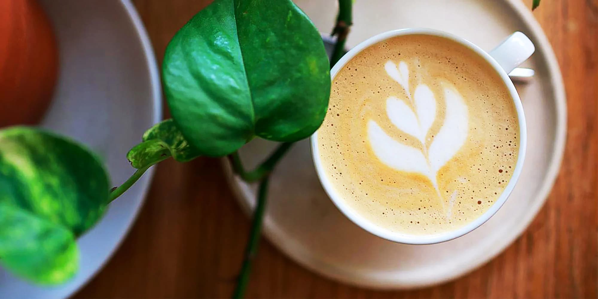 Baristické kurzy v kavárně Nota pro 1 nebo 2 osoby: naučte se latté art