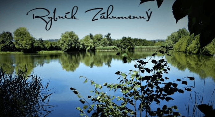 Rybaření na rybníku Záhumenný