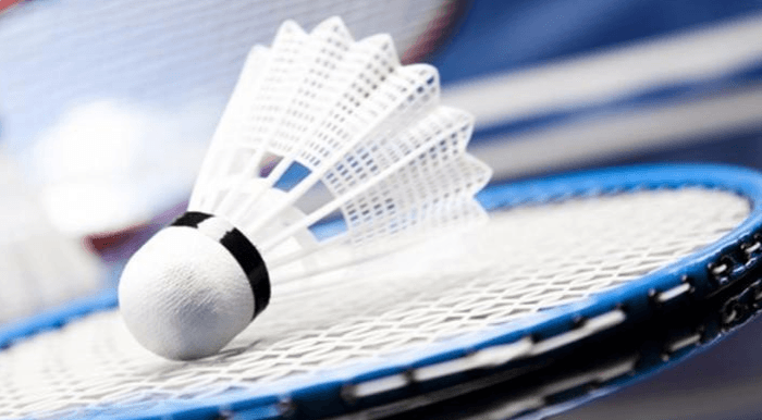 Badmintonové kurty v Mostě - 5 profi kurtů