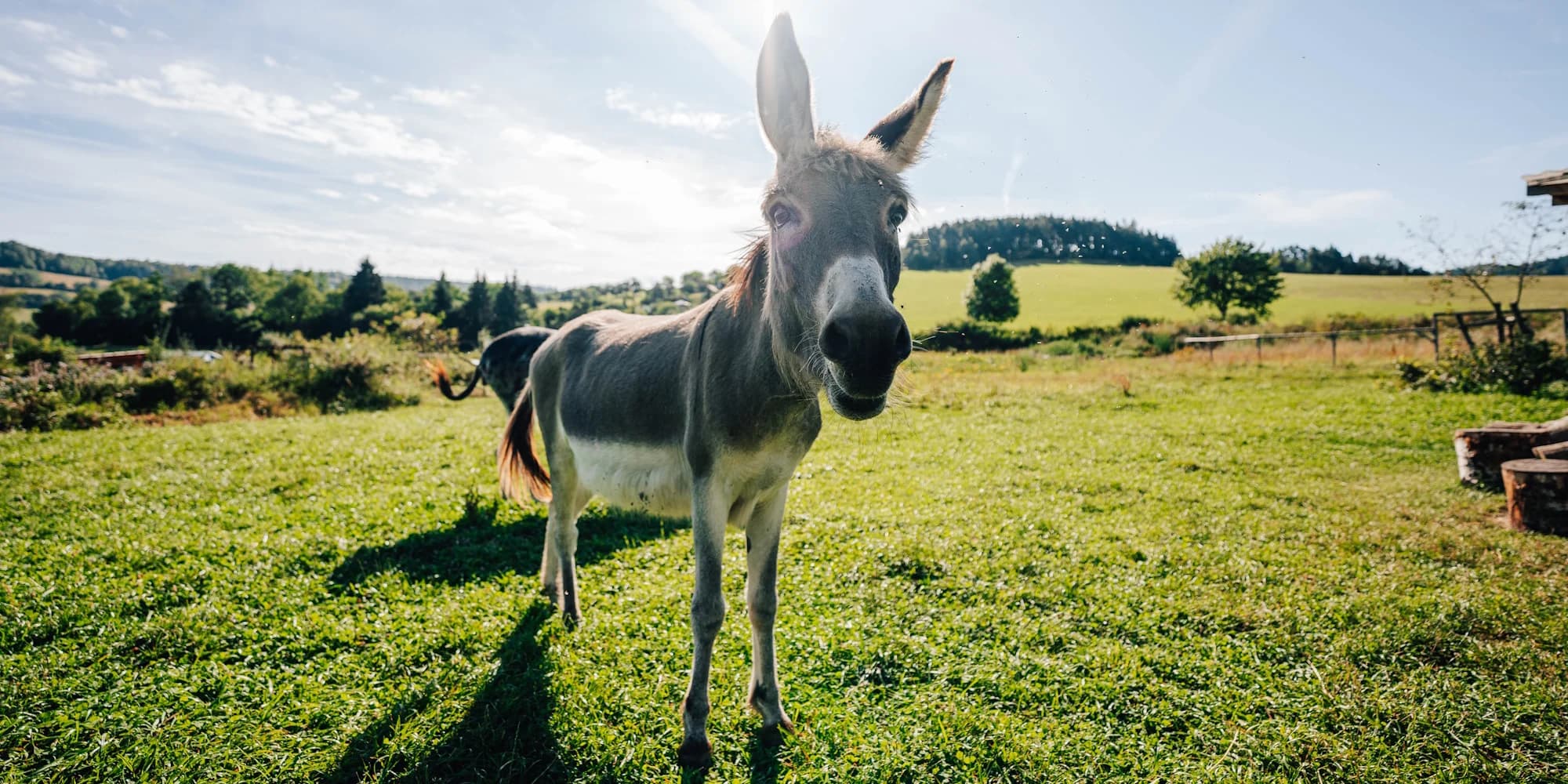 Krmení zvířátek a návštěva jedlého parku pro jednoho i pro celou rodinu